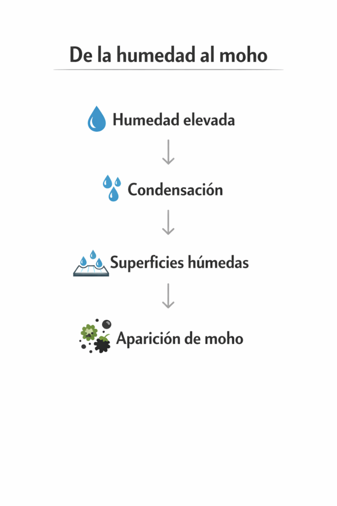 Humedad a moho